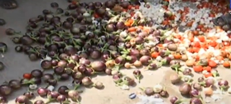 morbi vegetables thrown by farmers