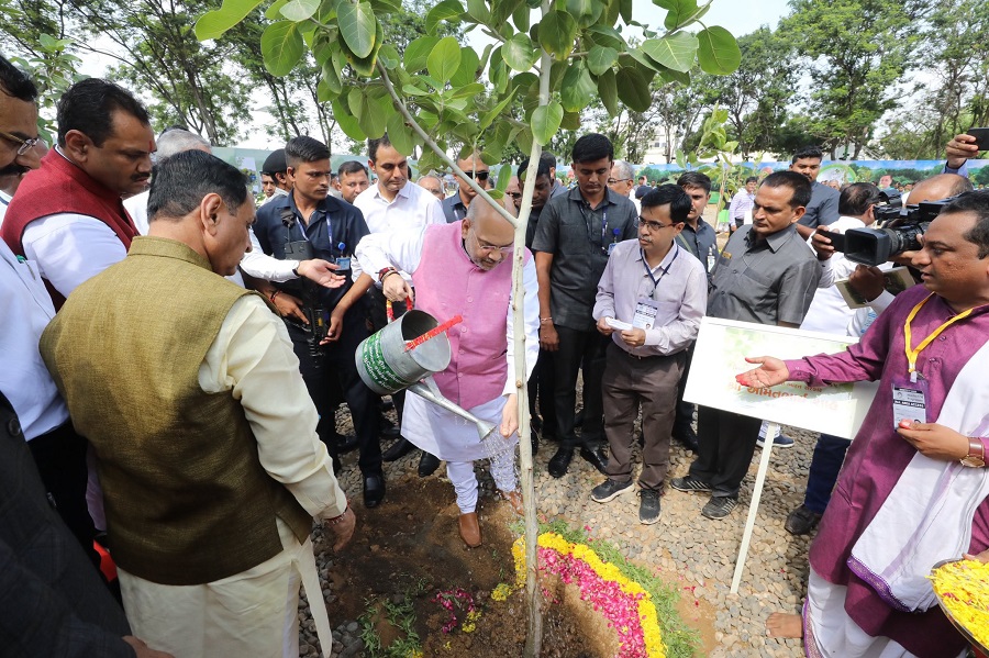 amit shah plantation