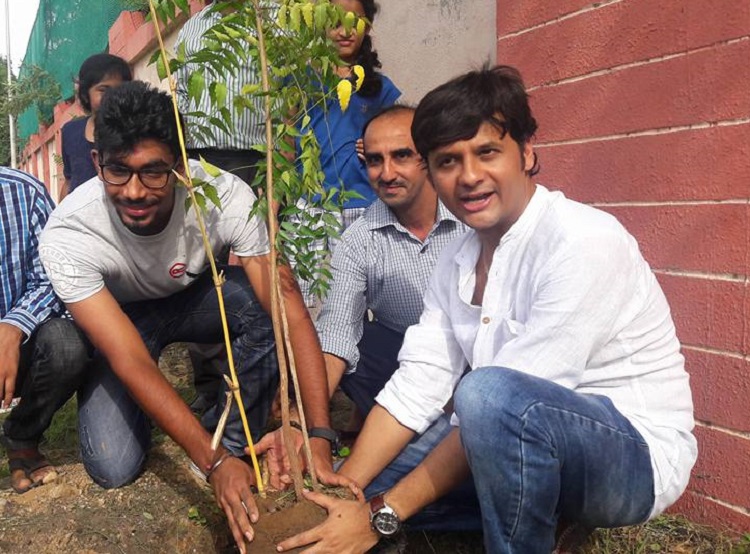 bumrah tree new 2